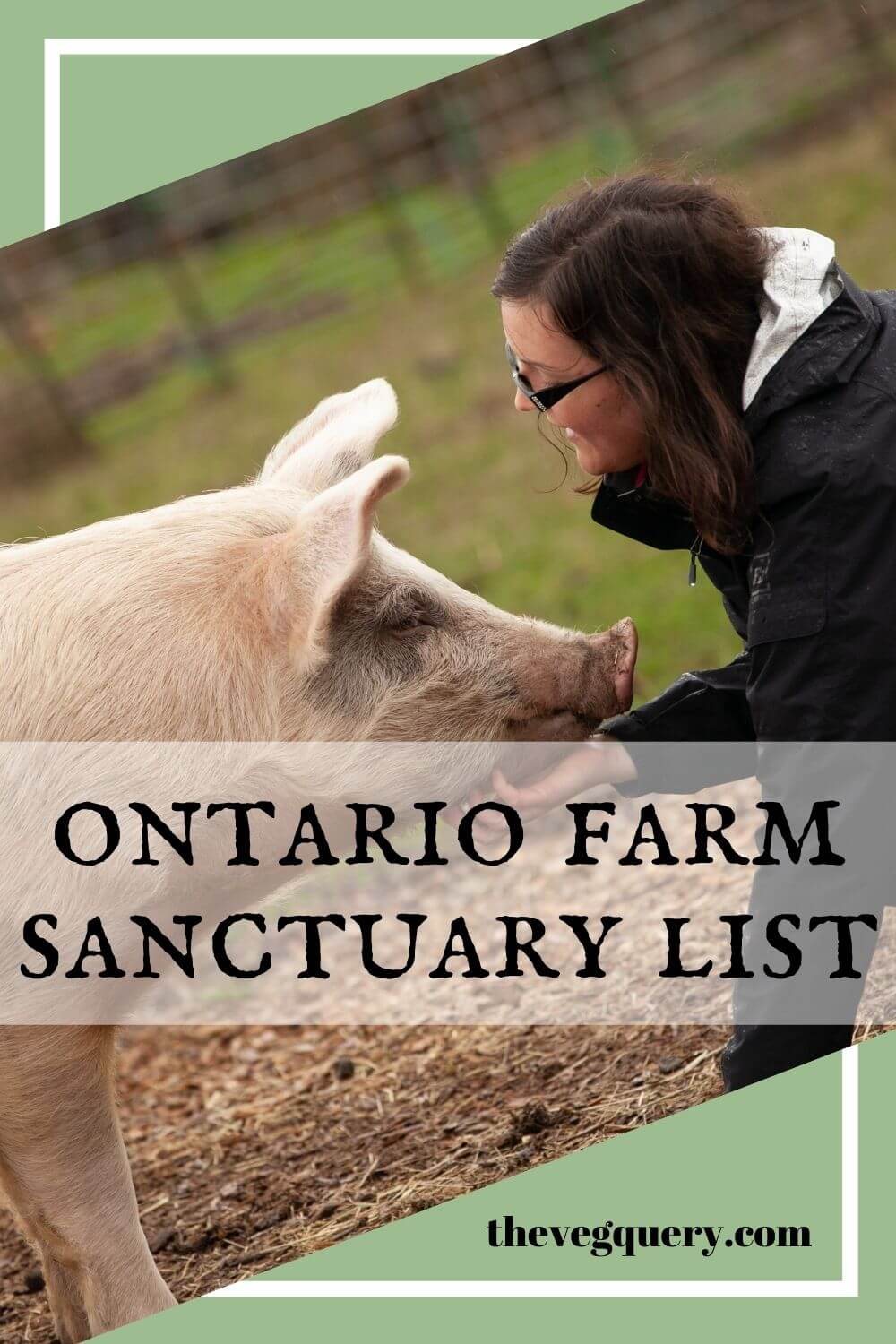 Ontario Farm Animal Sanctuary List